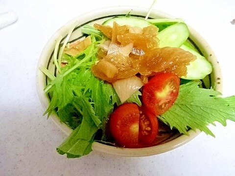 玉ねぎと水菜ときゅうりとミニトマトのサラダ